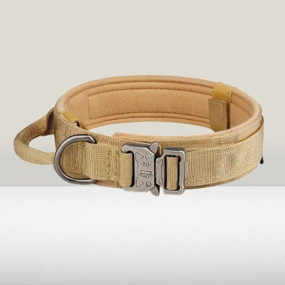 chien collier de dressage tactique beige rembourre boucle metal nylon militaire resistant