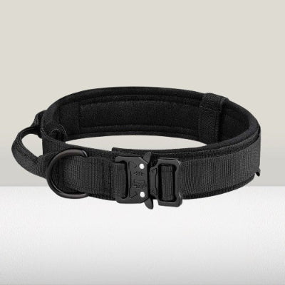chien collier de dressage tactique noir boucle cobra rembourre nylon militaire resistant