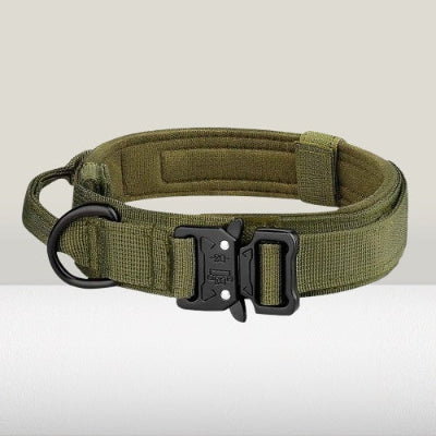 chien collier de dressage tactique vert militaire boucle cobra nylon rembourre resistant