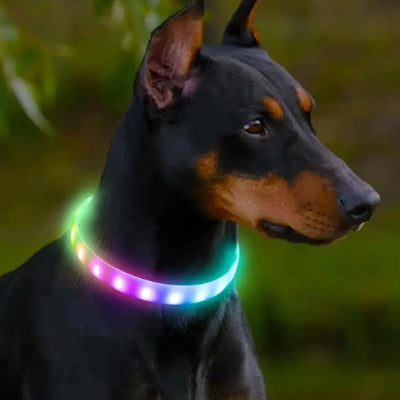 chien collier lumineux multicolore arc en ciel doberman led rechargeable securite nuit visible