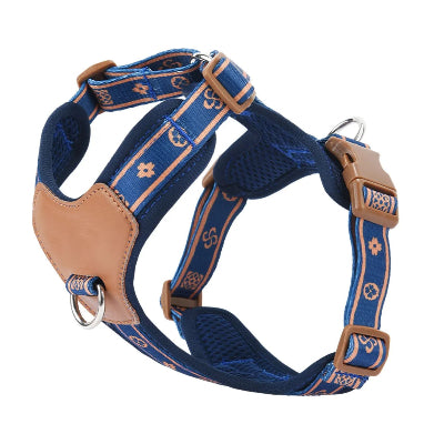 chien harnais bleu cuir motifs decoratifs premium
