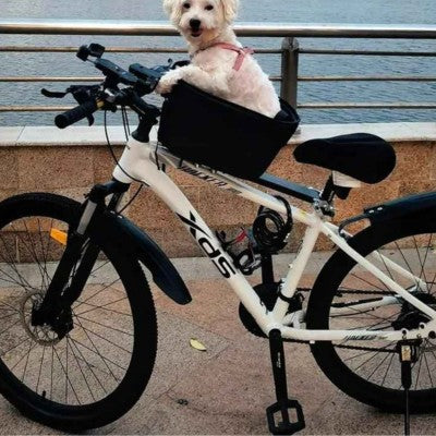 Chien vélo panier bord de rivière promenade photo réelle urbain