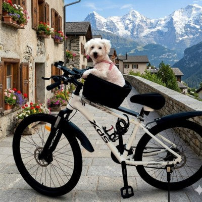 Chien vélo panier village alpin montagne neige maisons fleurs