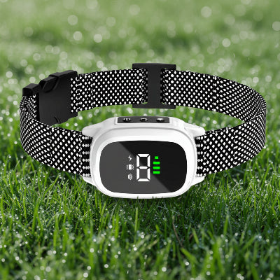 collier anti aboiement chien blanc ecran digital rechargeable nylon tresse