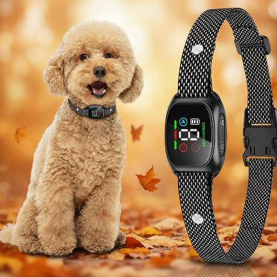 collier anti aboiement chien caniche ecran digital rechargeable noir gris nylon maille