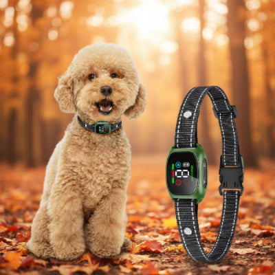 collier anti aboiement chien caniche ecran digital rechargeable vert noir nylon