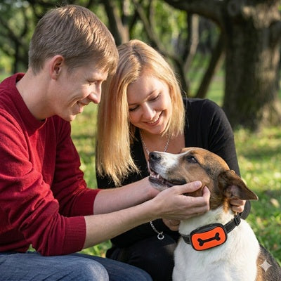 Collier anti-aboiement chien couple parc extérieur entraînement