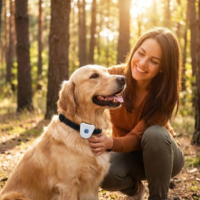 Collier anti aboiement chiot Golden Retriever femme caresse forêt soleil
