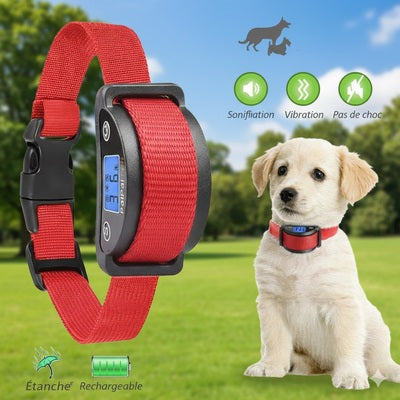 collier anti aboiement petit chien rechargeable etanche vibration sonification rouge premium