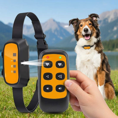 collier anti aboiement pour chien telecommande berger australien lac montagne dressage
