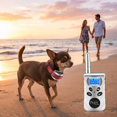 Collier anti-aboiement pour Chihuahua étanche plage télécommande