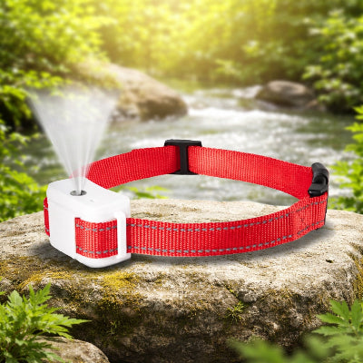Collier anti aboiement rouge citronnelle pulvérisation rivière nature rocher