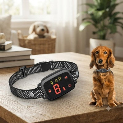 Collier anti aboiement sans douleur produit Teckel intérieur table