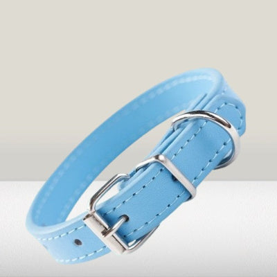 collier chien bleu ciel boucle metal couture premium qualite produit