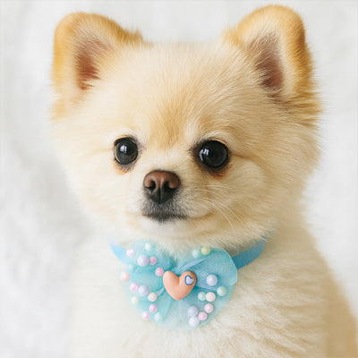 collier chien bleu ciel noeud perles coeur tulle accessoire mignon