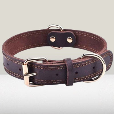collier chien cuir marron double boucle coutures beiges ajustable premium qualite