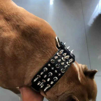 collier chien cuir noir pointes metal argent gros chien marron detail produit