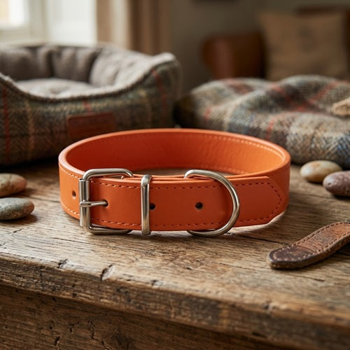 Collier chien cuir orange gros plan boucle anneau métalliques