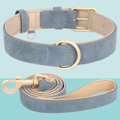 collier chien cuir pu bleu gris boucle doree premium luxe
