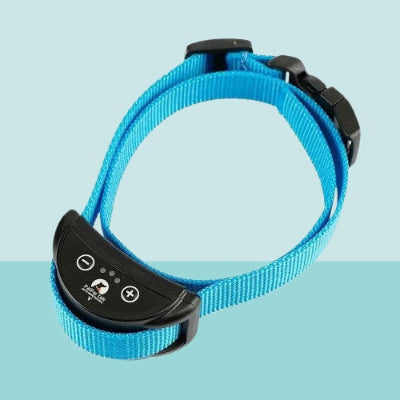 collier chien de dressage bleu anti aboiement rechargeable etanche turquoise