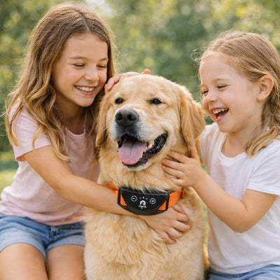 collier chien de dressage golden retriever enfants famille orange anti aboiement exterieur