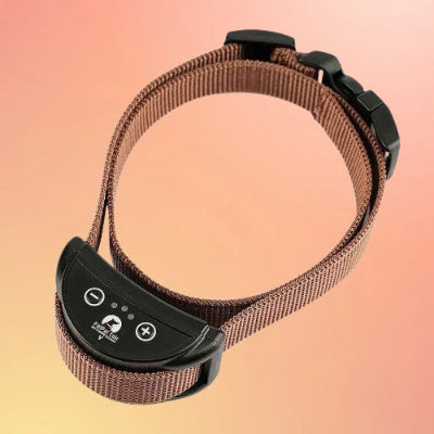 collier chien de dressage marron beige anti aboiement rechargeable nylon