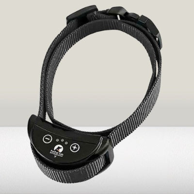 collier chien de dressage noir electronique anti aboiement rechargeable nylon