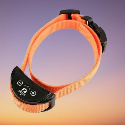 collier chien de dressage orange anti aboiement rechargeable etanche