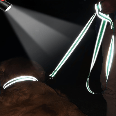 Collier Chien - DogsHarnessCollar™ - Cyan - Libre & Poilu