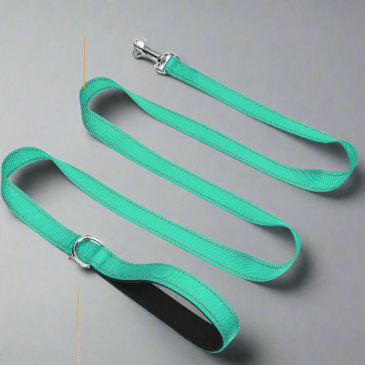 Collier Chien - DogsHarnessCollar™ - Cyan - Libre & Poilu