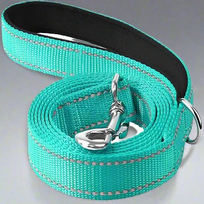Collier Chien - DogsHarnessCollar™ - Cyan - Libre & Poilu