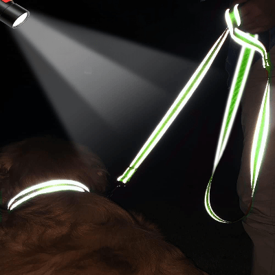Collier Chien - DogsHarnessCollar™ - Fluorescent Vert - Libre & Poilu