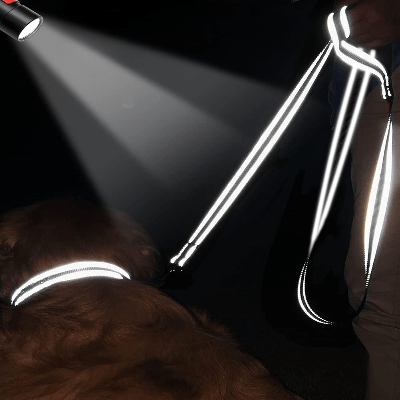 Collier Chien - DogsHarnessCollar™ - Noir - Libre & Poilu