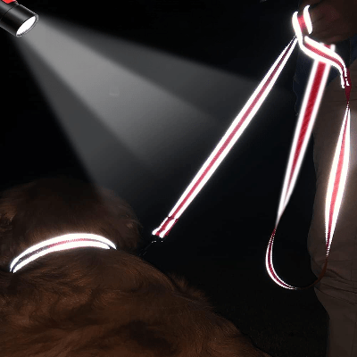Collier Chien - DogsHarnessCollar™ - Rouge - Libre & Poilu