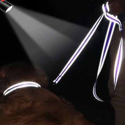 Collier Chien - DogsHarnessCollar™ - Violet - Libre & Poilu