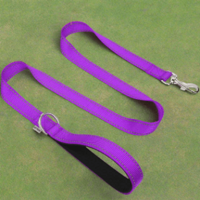 Collier Chien - DogsHarnessCollar™ - Violet - Libre & Poilu