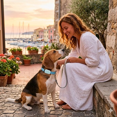 collier chien GPS sans abonnement beagle bleu femme port coucher de soleil