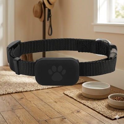 collier chien GPS sans abonnement noir nylon tracker patte parquet gamelles