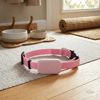 collier chien GPS sans abonnement rose nylon tracker tapis gamelles bois