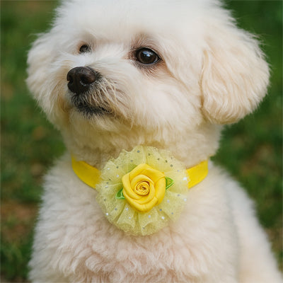collier chien jaune fleur tulle paillettes noeud accessoire elegant