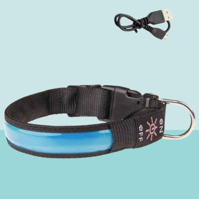 collier chien lumineux led bleu rechargeable usb securite promenade nuit reflechissant
