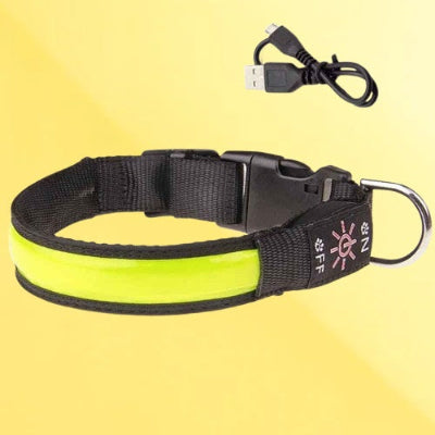collier chien lumineux led jaune rechargeable securite nocturne