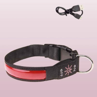 collier chien lumineux led rouge rechargeable usb visibilite nocturne securite promenade