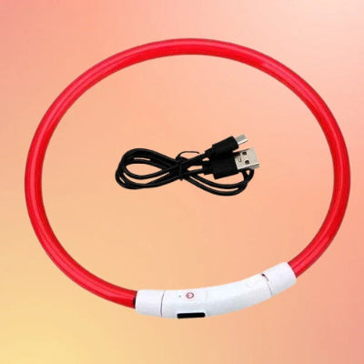 collier chien lumineux rouge usb rechargeable led cable inclus securite nuit visible