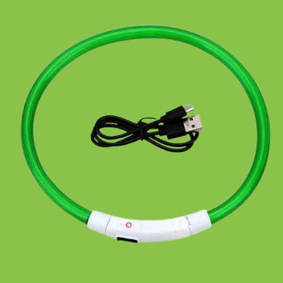 collier-chien-lumineux-vert-usb-rechargeable-led-cable-inclus-securite-nuit-visible