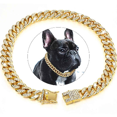 collier chien luxe dore strass bouledogue francais premium