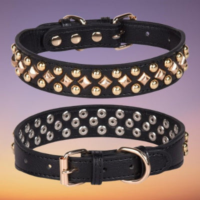 collier chien noir cloute cuir boucle doree ajustable premium detail