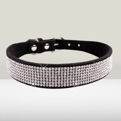 collier chien noir strass cristaux bling cuir elegant luxe chic premium
