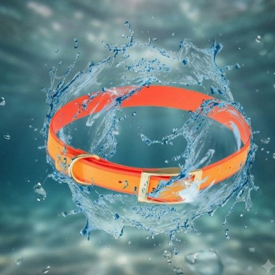 Collier chien orange fluo waterproof boucle dorée éclaboussure.