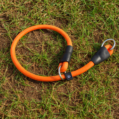 collier chien orange resistant mousqueton metal qualite premium durable securite